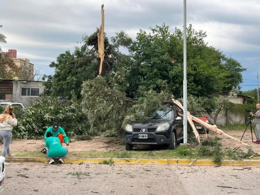 Resistencia | Cayó un rayo en el Pediátrico derriba árbol y aplastó 5 autos