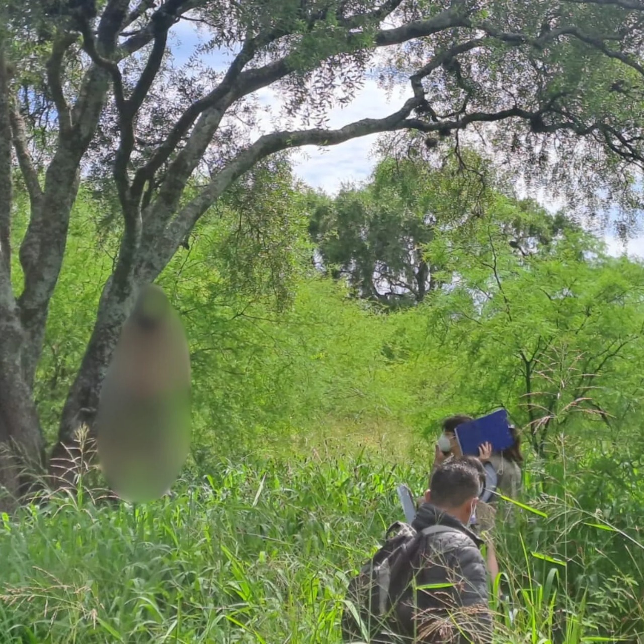 Hallaron un cuerpo colgado en una zona boscosa cerca del Aeropuerto de Resistencia