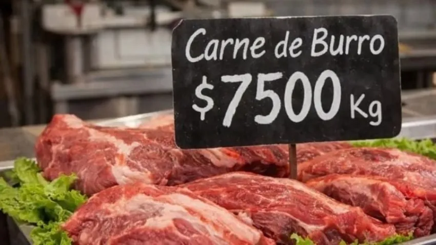 Impulsan en Chubut la venta de carne de burro como alternativa