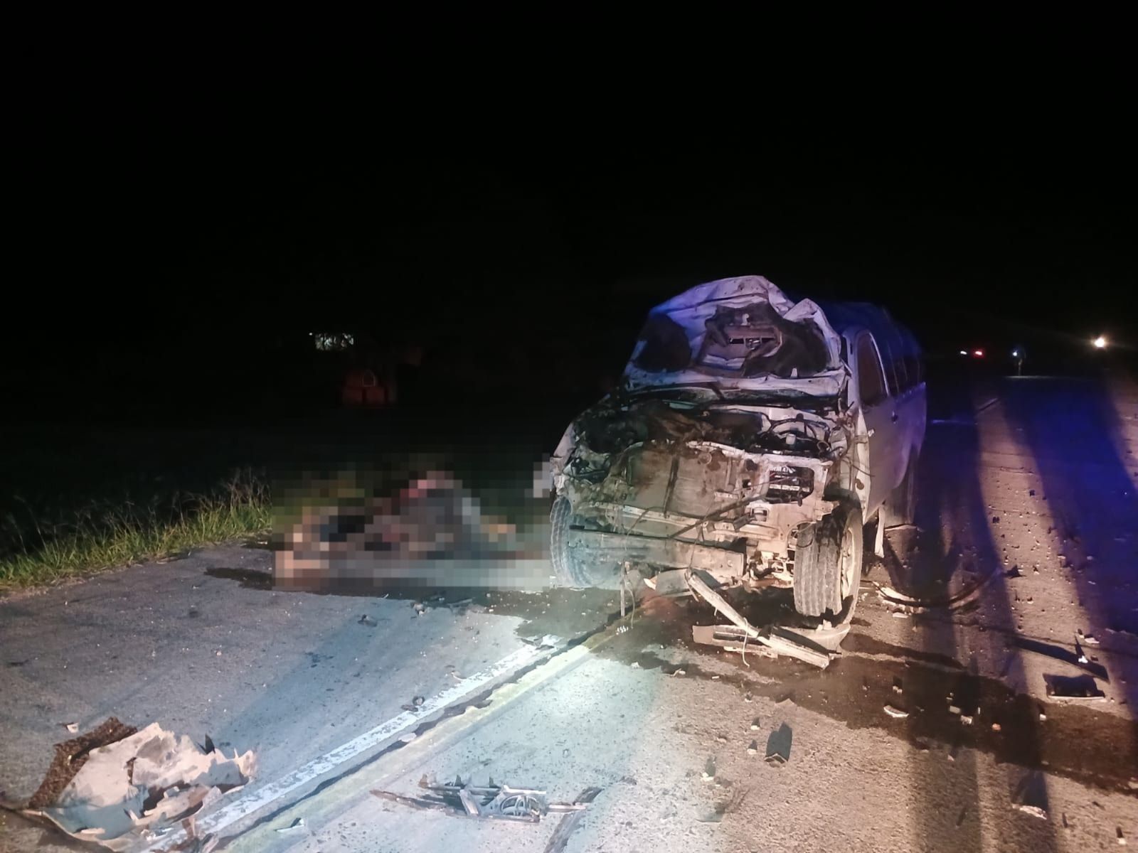 Policiales | Ruta 9: un caballo murió tras ser embestido en Colonias Unidas