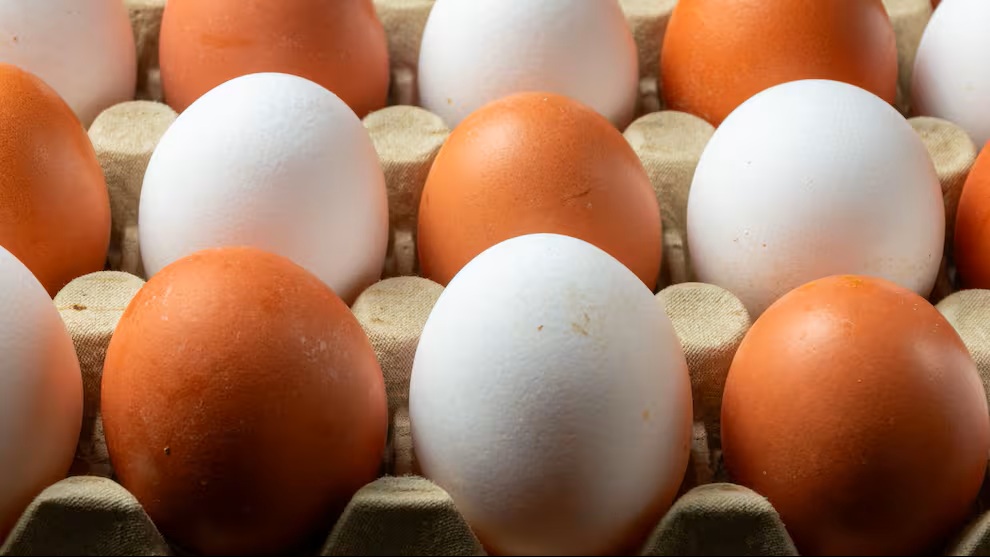 Ni frito ni revuelto: la mejor forma de cocinar el huevo para aprovechar todas sus proteínas