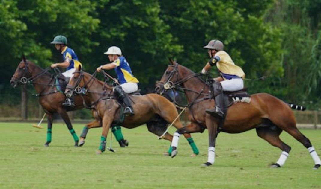 Deportes | Makallé recibirá la Copa 25 de Mayo de polo Deportes | Makallé recibirá la Copa 25 de Mayo de polo
