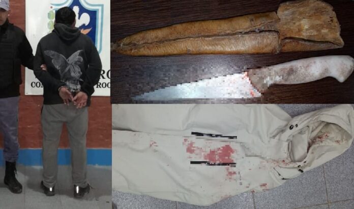 Doble crimen en Presidencia Roca: mató a dos amigos a puñaladas