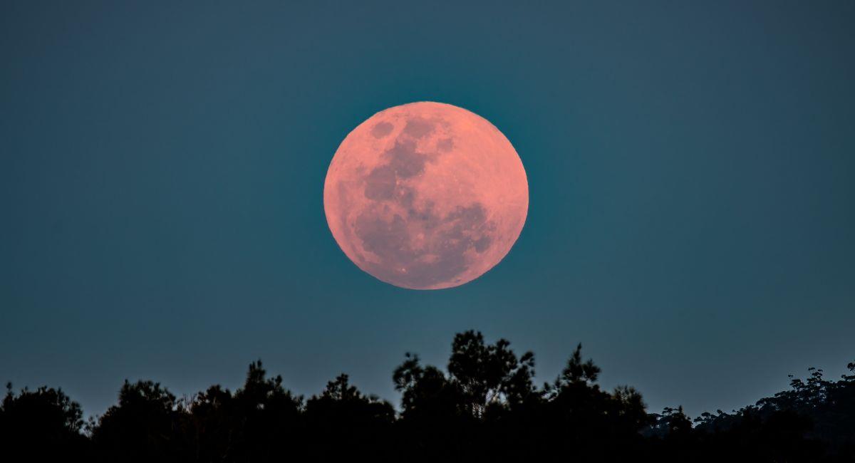 Luna de Fresa: cuándo verla este lunes en Argentina