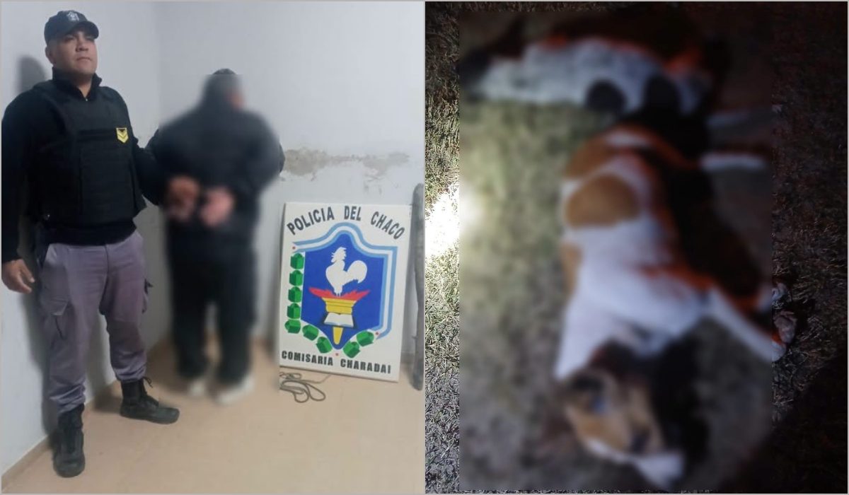 Detienen a un hombre en Charadai tras confesar el asesinato de dos perros