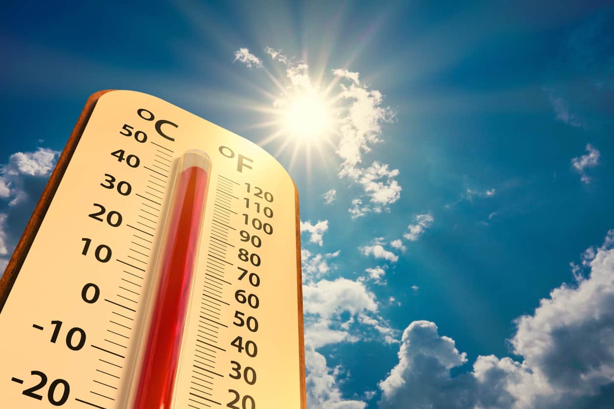 De la ola polar al calor primaveral: Chaco experimentará un marcado ascenso térmico esta semana