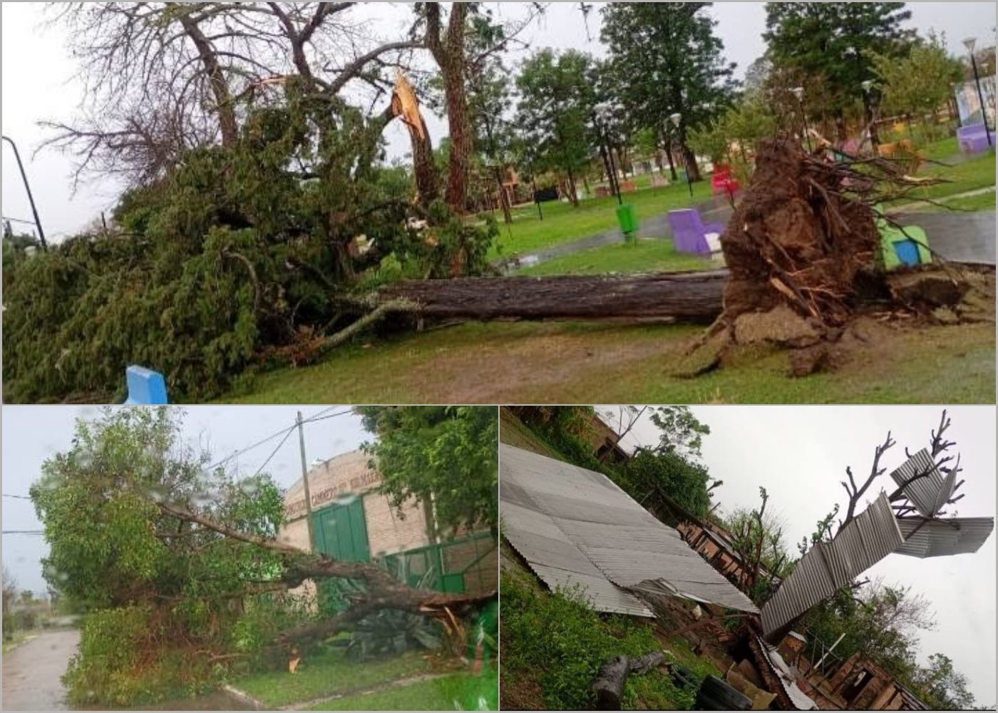 Fuerte temporal en Makallé: ráfagas de viento provocan graves destrozos y cortes de energía