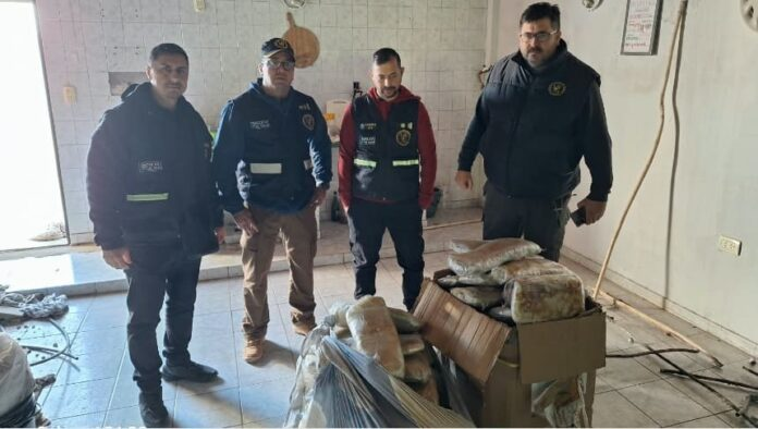 Golpe al narcotráfico en Resistencia: hallan más de 75 kilos de marihuana ocultos en una concesionaria