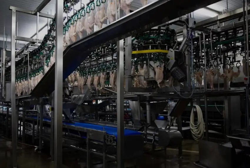 Crisis en Granja Tres Arroyos: la empresa propone pagar salarios con pollos y solicita el concurso preventivo de acreedores