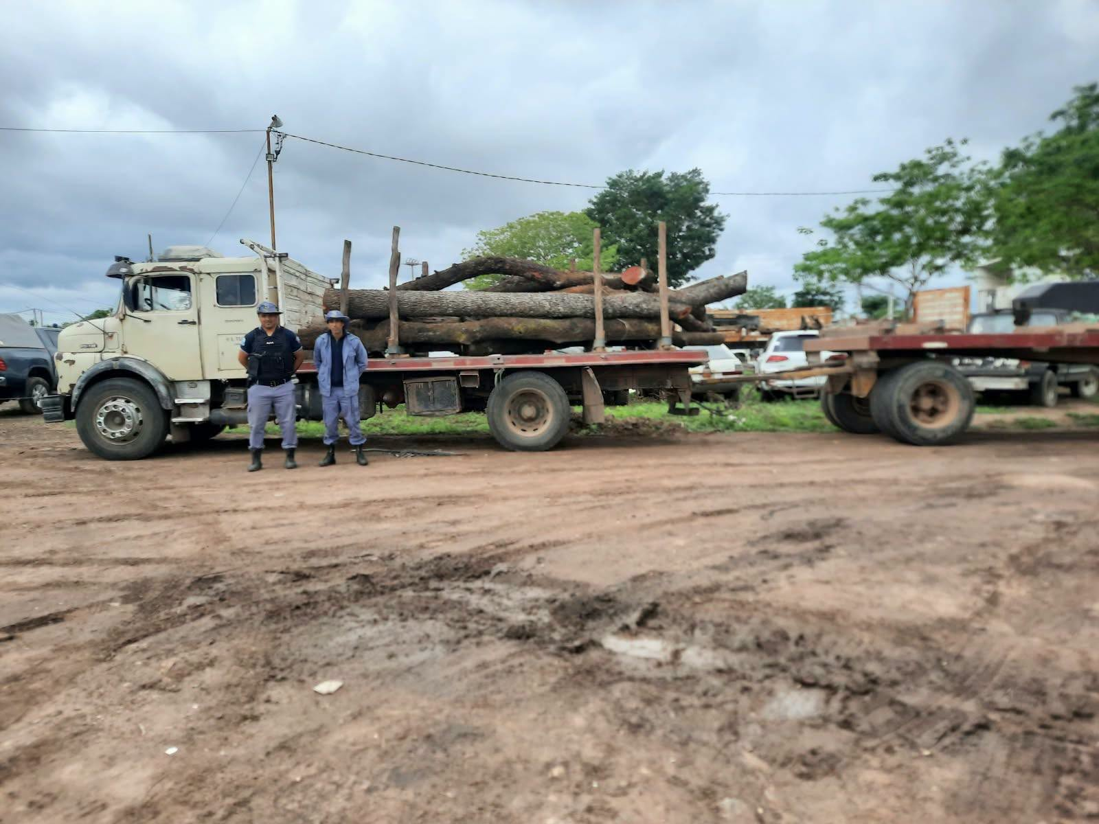 Tala ilegal en Tres Isletas: secuestran 5 toneladas de quebracho Tala ilegal en Tres Isletas: secuestran 5 toneladas de quebracho