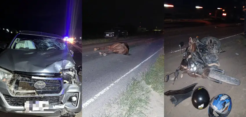 Choque en Ruta 16: una yegua murió y un hombre fue hospitalizado cerca de Quitilipi