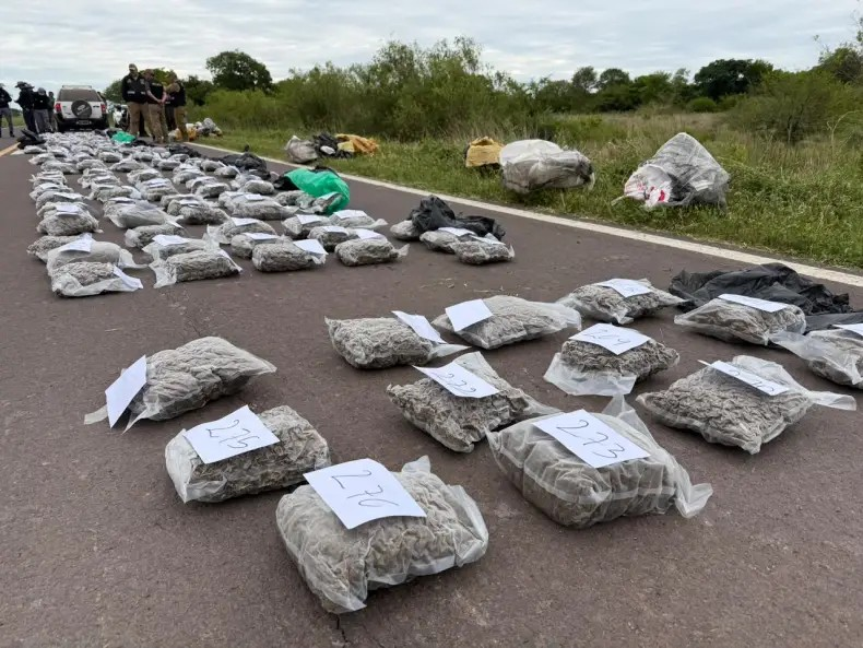 Secuestran 211 kilos de marihuana valuados en  millones cerca de Puerto Las Palmas